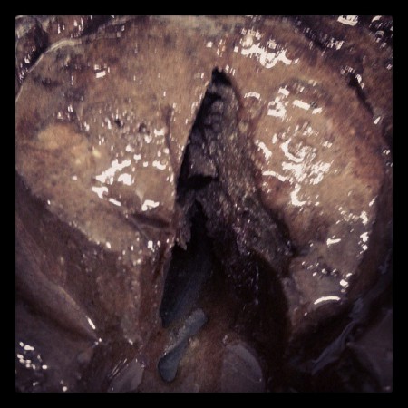 Mini bolo de chocolate